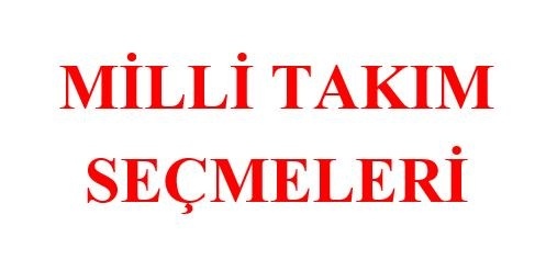 Çelik Uçlu Dart Milli Takım Seçmeleri Ankara'da yapılacak.