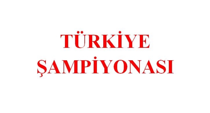 Türkiye Kulüplerarası Dart Şampiyonası Ankara'da yapılacak